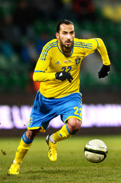 Erkan Zengin, Sverige