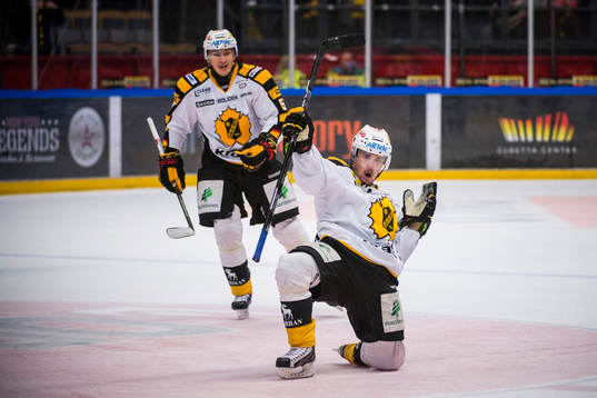 Viktor Arvidson, Skellefteå jublar