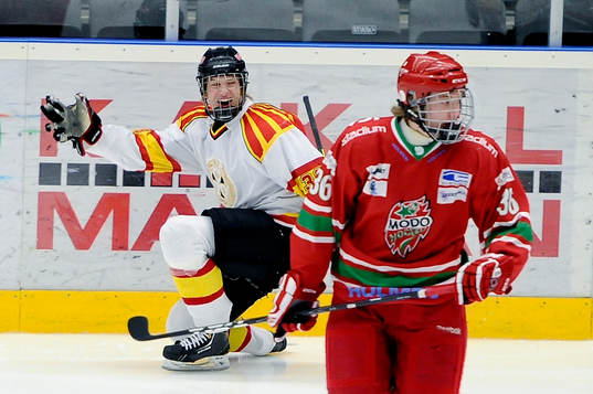 Jubel 2-5 målet med Brynäs nr 38 Oskar Lindblom