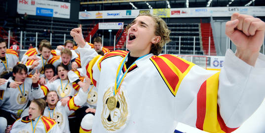 Brynäs nr 20 Adam Brodecki jublar