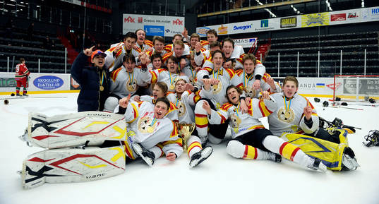 Lagbild på Brynäs