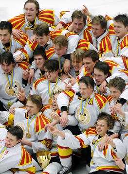 Brynäs guldlag 2013