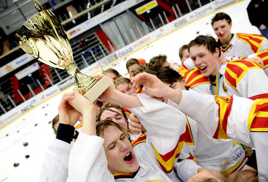 Brynäs laget med SM pokalen