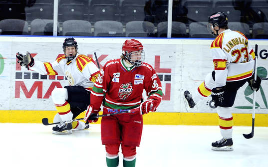 Oskar Lindblom i Brynäs jublar