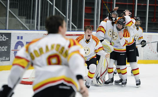 Brynäs spelare i glädjeyra