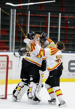 Brynäs spelarna kastade hjälmar och klubbor i luften