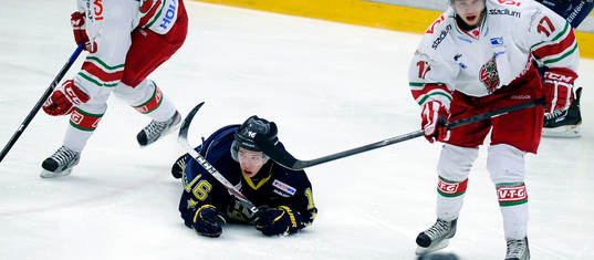 HV71 nr 16 Filip Sandberg