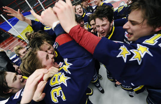 SM guld segerglädje
