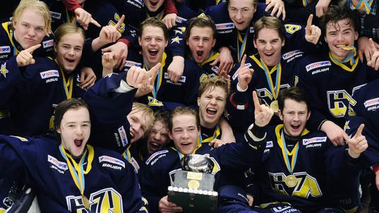 Lagbild på HV71