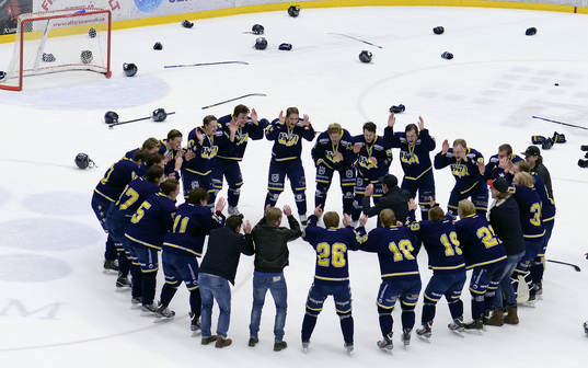 Hela HV71 laget dansar i en ring och firar segerns med