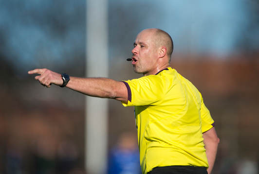 Martin Hansson, domare