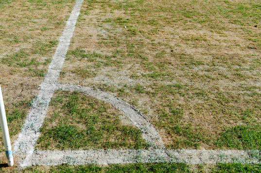 blandad kvalité på gräset på Swedbank stadion