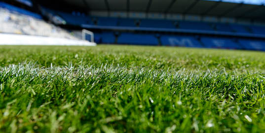 gräset vattnas på Swedbank stadion