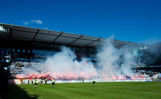 många bengaler på läktare
