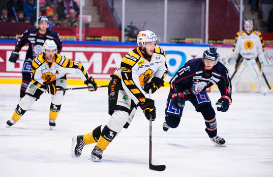 Petter Granberg, Skellefteå