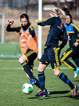 Lotta Schelin, Sverige