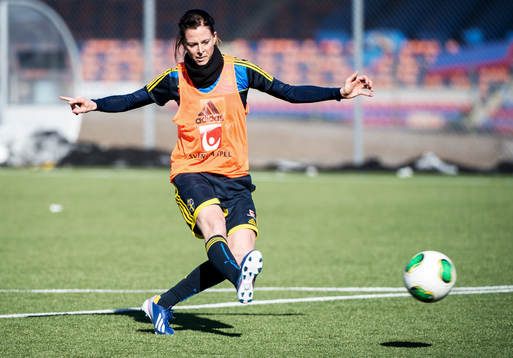 Lotta Schelin, Sverige