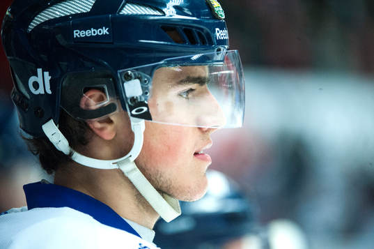Alen Bibic, Leksand