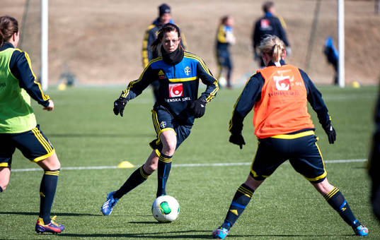 Lotta Schelin, Sverige