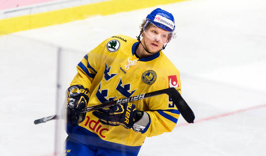 Andreas Jämtin, Sverige, deppar