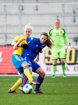 Nilla Fischer, Sverige
