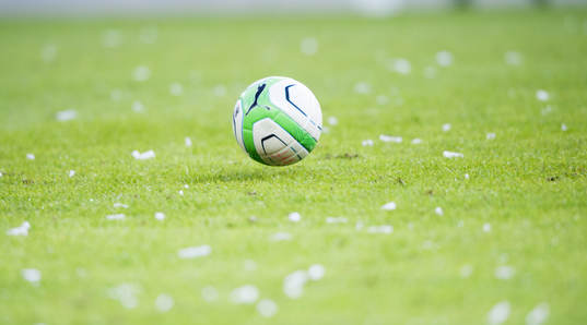 Fotboll, gräs, gräsmatta, fotbollsplan