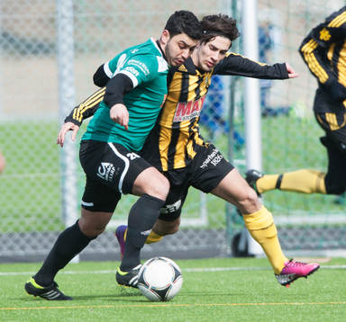 William Kvist, IFK Hässleholm