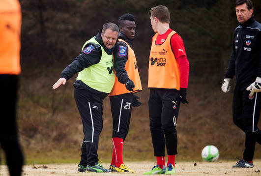 Roar Hansen, Tränare Helsingborg, David Accam