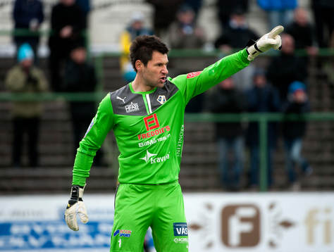 Stojan Lukic, målvakt, Halmstad