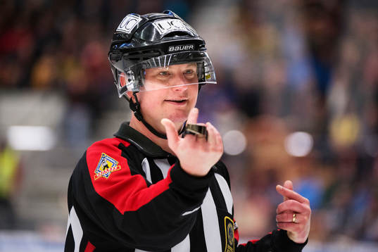 Marcus Vinnerborg, domare