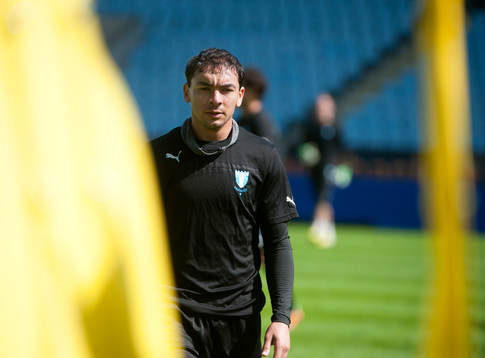 Ricardinho, Malmö FF