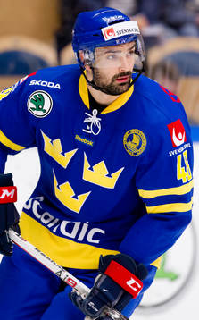 Daniel Rahimi, Sverige