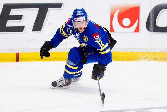 Fredrik Pettersson, Sverige