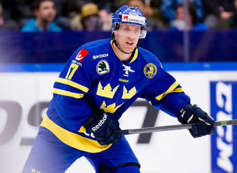 Martin Thörnberg, Sverige