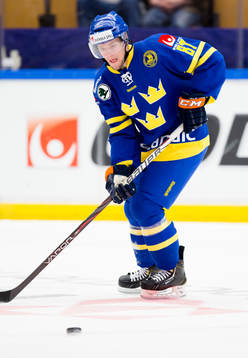 Robert Rosén Rosen, Sverige