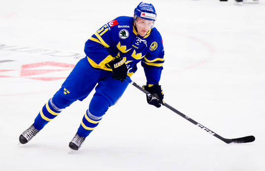 Jonas Ahnelöv, Sverige