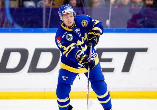 Elias Fälth, Sverige
