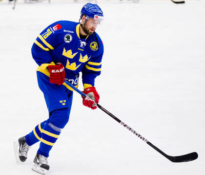 Dick Axelsson, Sverige