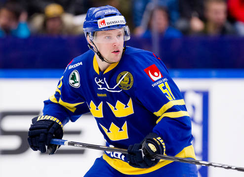 Jonas Ahnelöv, Sverige