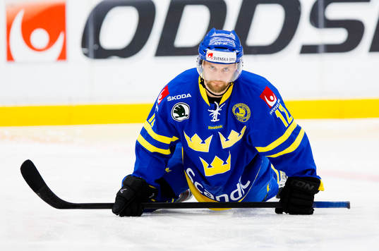 Fredrik Pettersson, Sverige