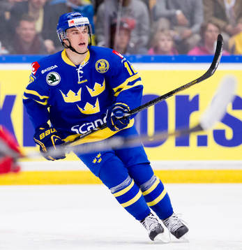 Tobias Viklund, Sverige