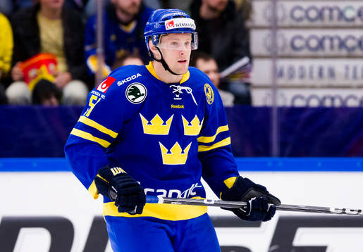 Jonas Ahnelöv, Sverige