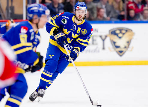 Niklas Persson, Sverige