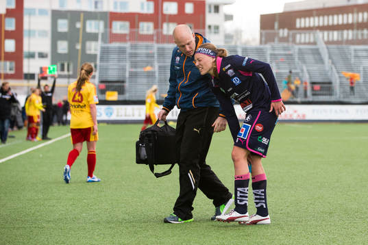 Mariann Gajhede Knudsen, Linköping vingas länga plan