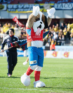 Mascot, hejaklacksledare, Öster