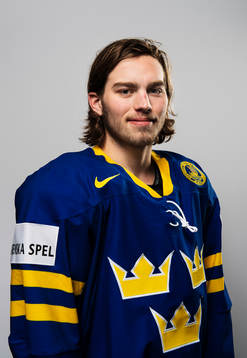 Bläddra bland fler bilder av Ishockey, inför VM, porträtt Sverige