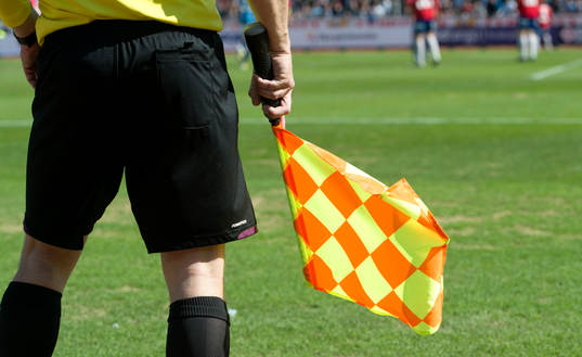 Domarflagga, flagga, genre