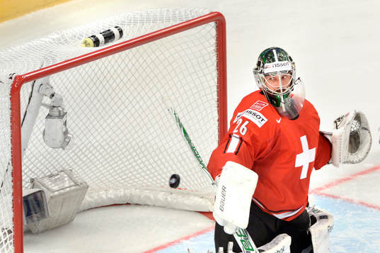 Martin Gerber, Schweiz tittar