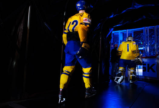 Sveriges Fredrik Pettersson och Jhonas Enroth gör entré