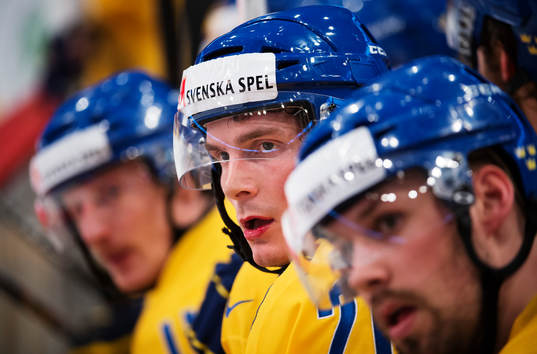 Sveriges Loui Eriksson på bänken